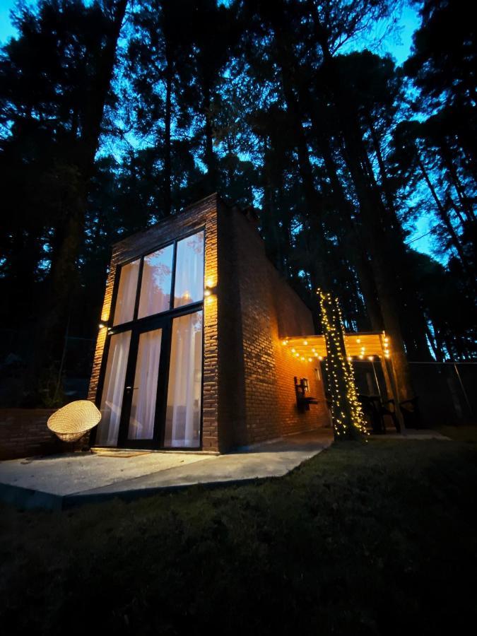 Boutiques Tinygrinhouse Mineral del Chico